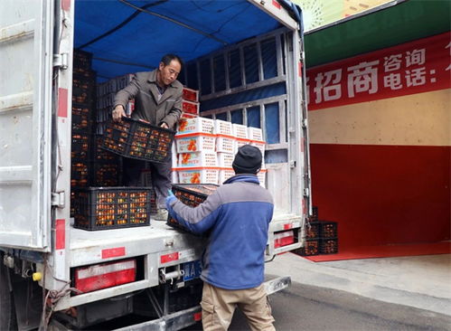 觀山湖即將開業(yè) 水果與奶制品批發(fā)及進出口一站式交易中心